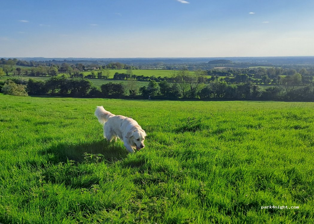 (C15) Hill of Tara - Unnamed road — foto 2