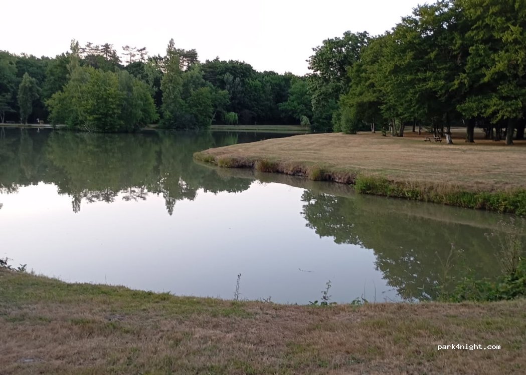 (41600) Yvoy-le-Marron - 7 Route de Ligny le Ribault — foto 5