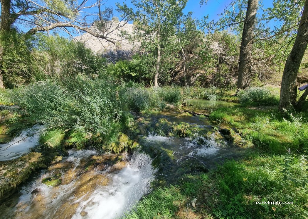 (42193) Cabrejas del Pinar - Camino Abioncillo — foto