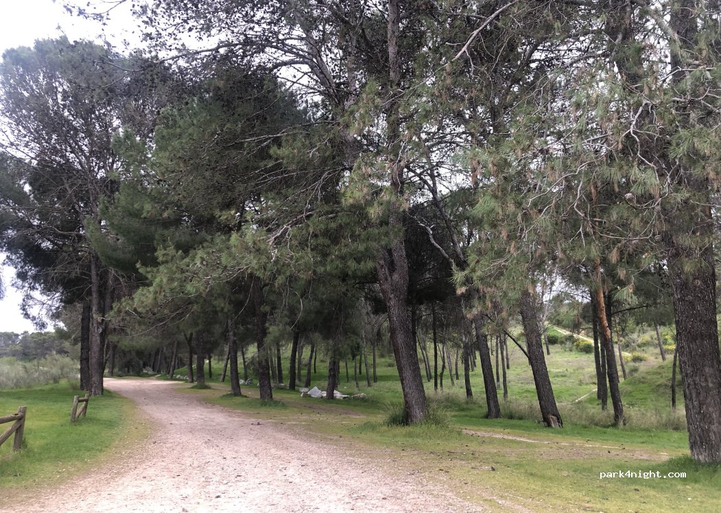 (45600) Talavera de la Reina - — foto 5