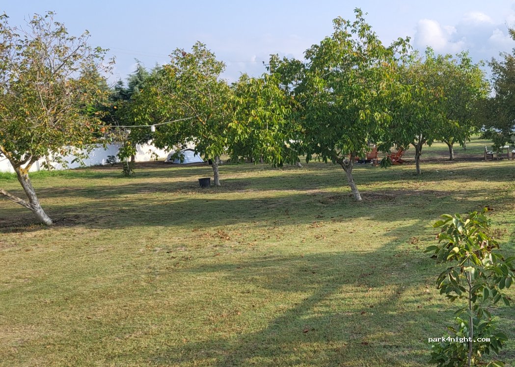 Kampüs Doğal Yaşam — foto