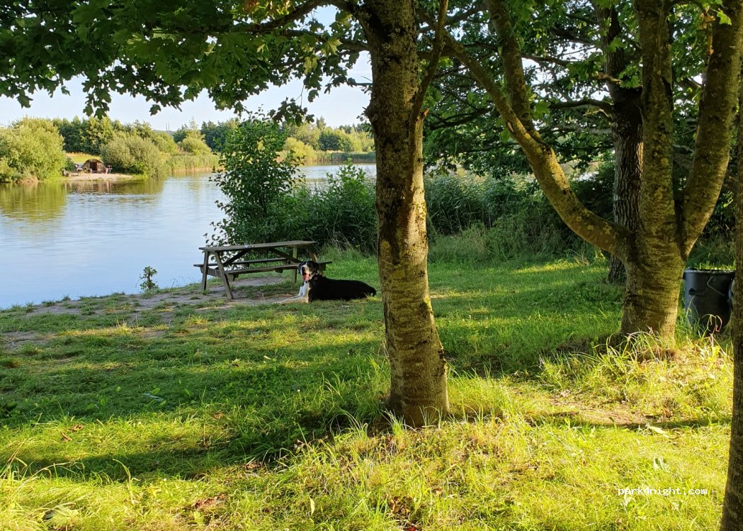 Camping Aalsbogaard — foto 3