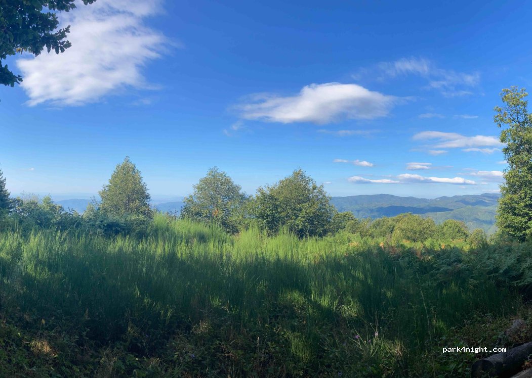 (51100) Pistoia - — foto 4
