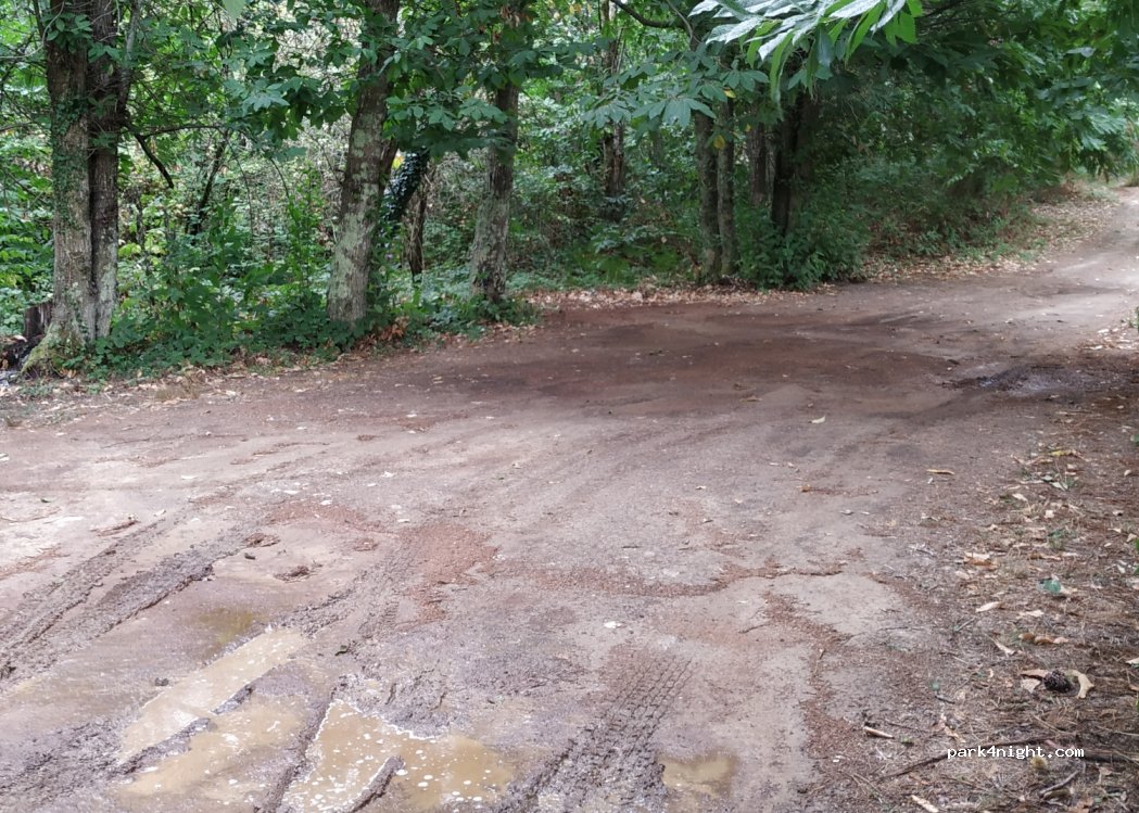 (55100) Lucca - Unnamed Road — foto