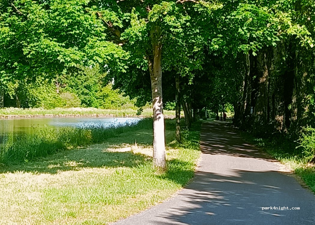 (58000) Sermoise-sur-Loire - Chemin de Halage — foto 5