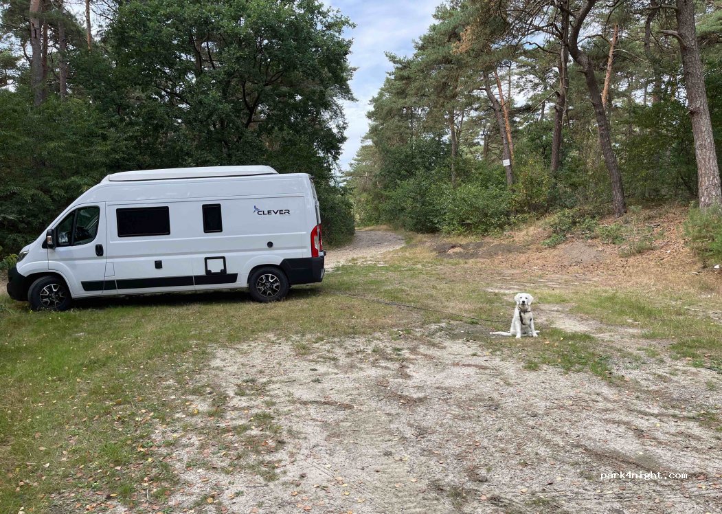 (49733) Haren - — foto