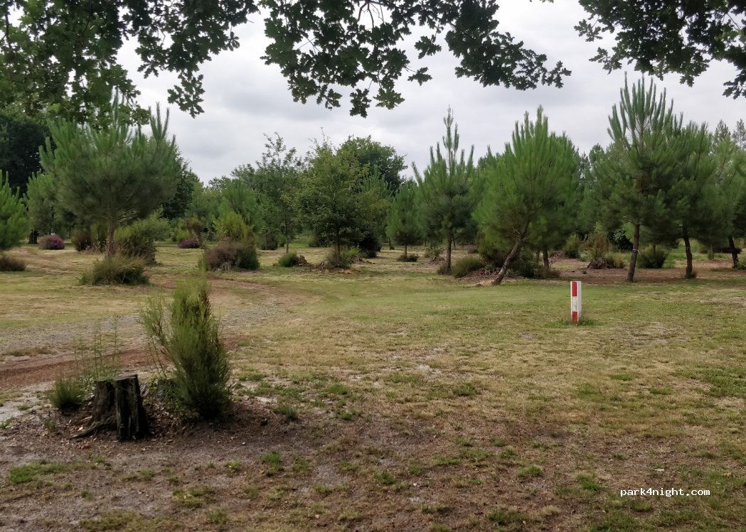 (40170) Saint-Julien-en-Born - 818 Route du Garat — foto 4