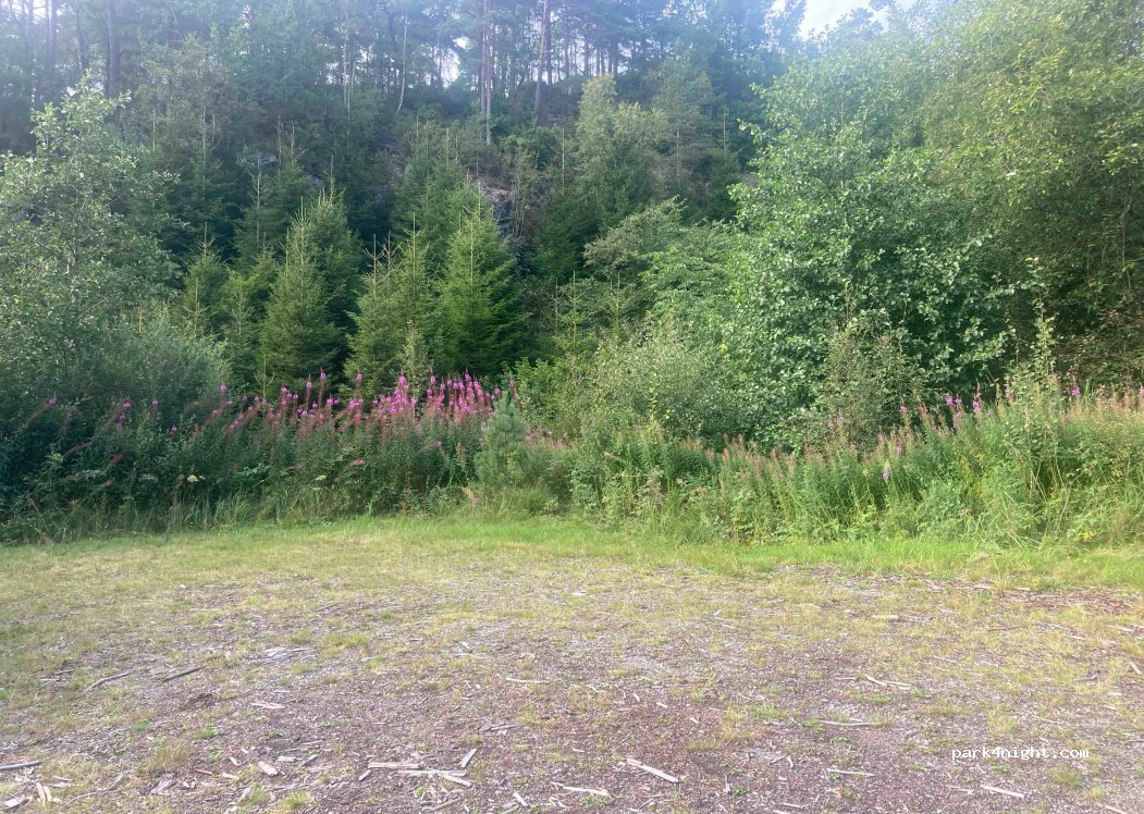(4588) Kvås - — foto