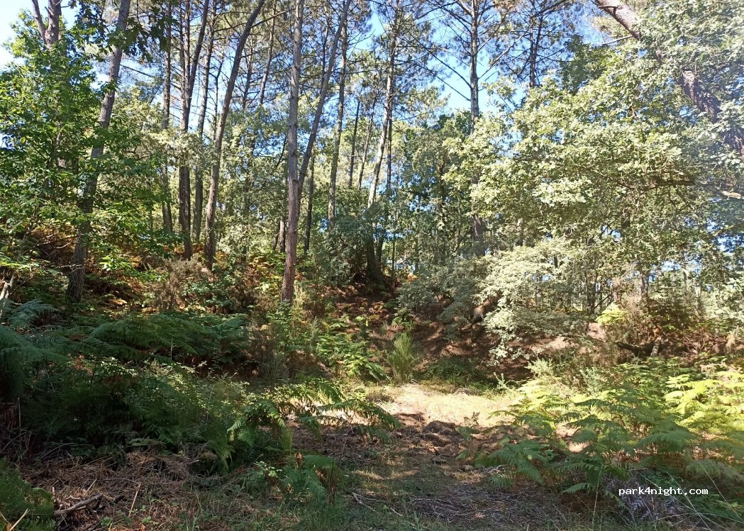 (40170) Saint-Julien-en-Born - 682 Route du Nel — foto 2