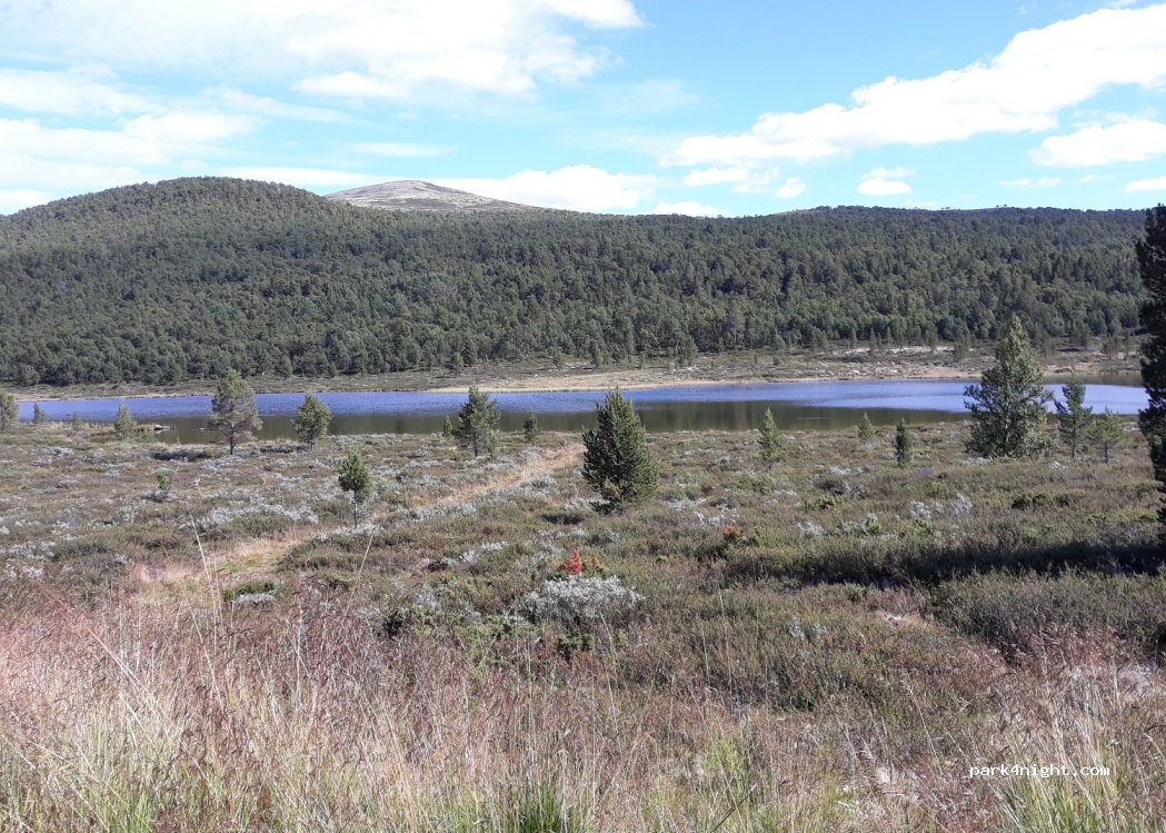 (2584) Furuhovde - 113 Sætervegen — foto 2