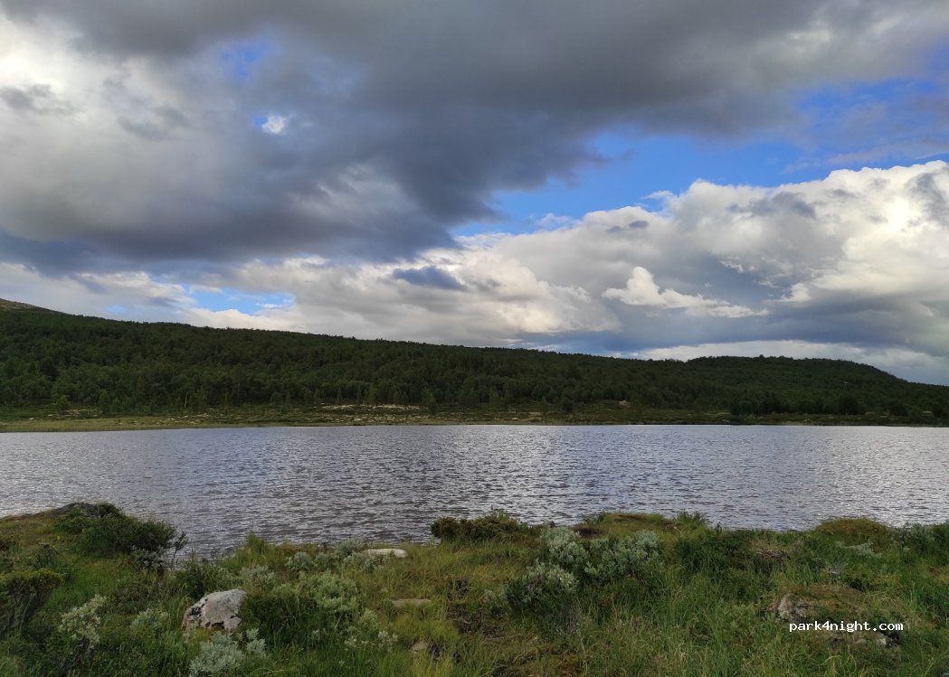 (2584) Furuhovde - 113 Sætervegen — foto 3