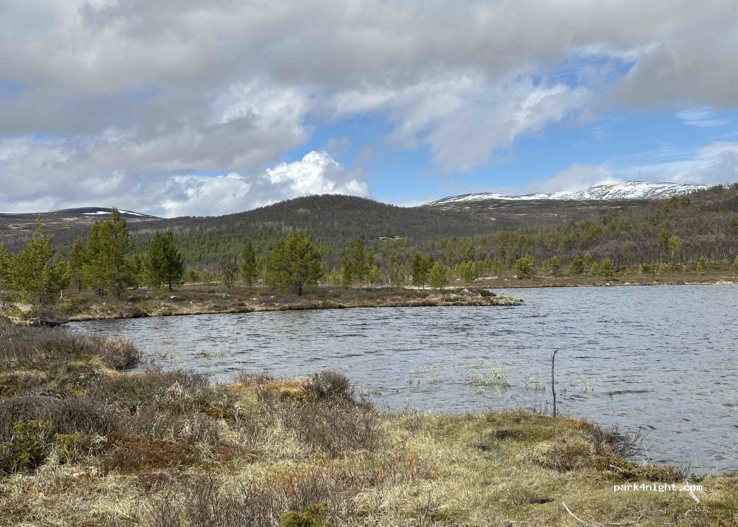 (2584) Furuhovde - 113 Sætervegen — foto 5