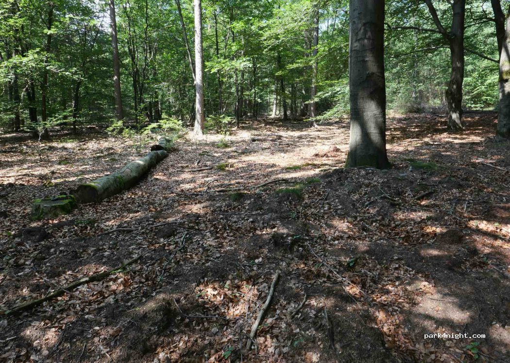 Minicamping de Voortseweide — foto 2