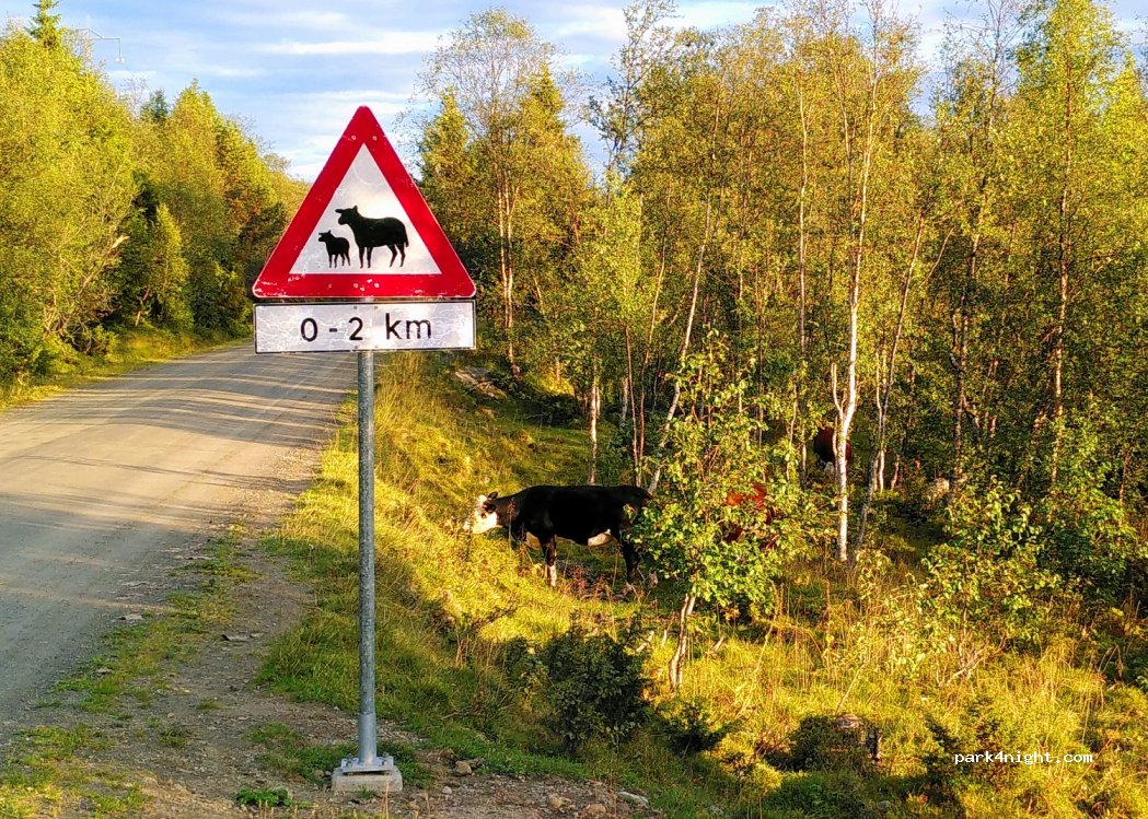 (2680) 2Skårvangsvegenn - Slådalsvegen — foto