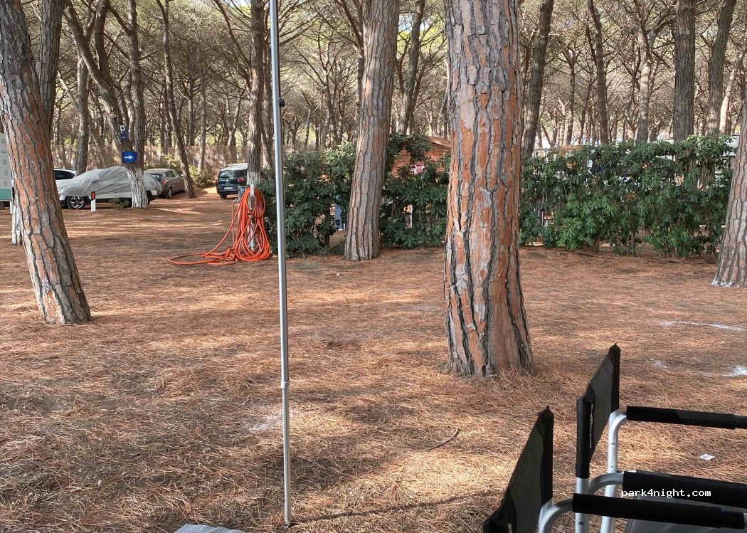 CAMPING PIONIER ETRUSCO — foto 2