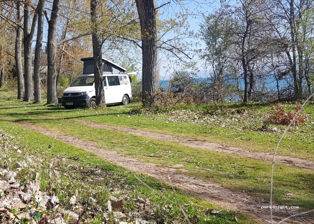(6330) Radozhda - — foto