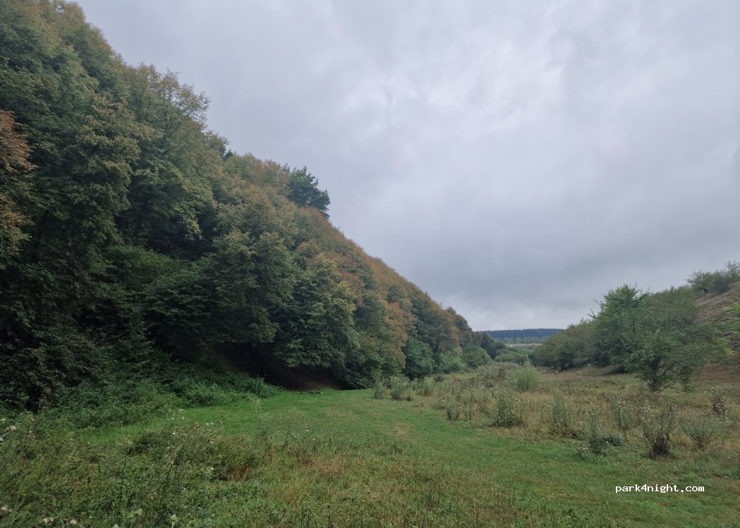 (407455) Petreștii de Jos - — foto
