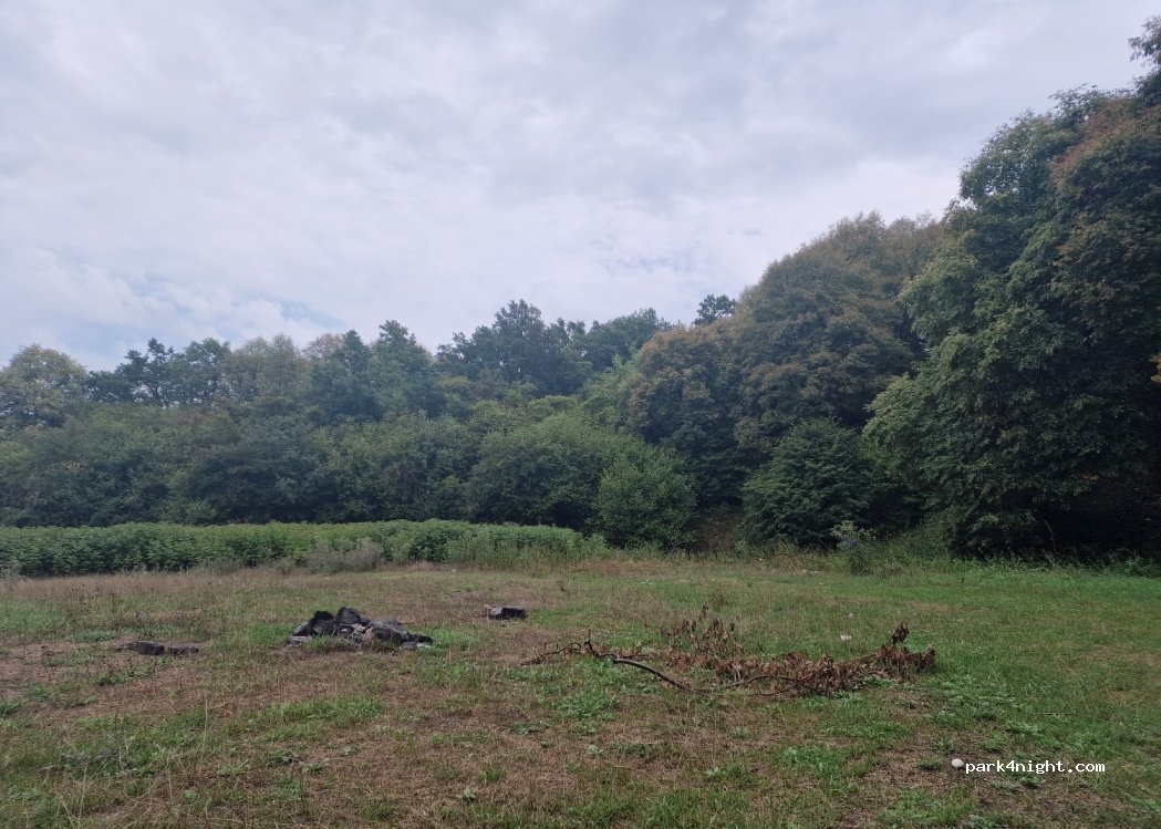 (407455) Petreștii de Jos - — foto 2