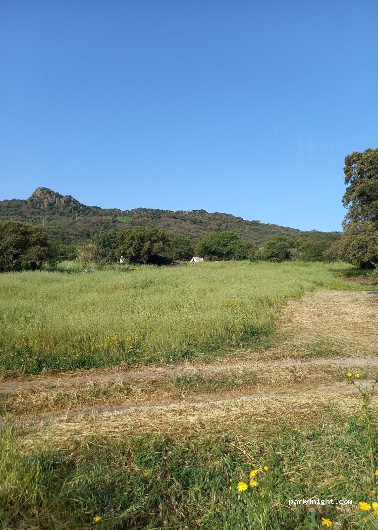 Agricamping Su'e Lentu — foto 4