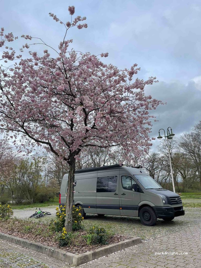 (39114) Magdeburg - Herrenkrug — foto 3