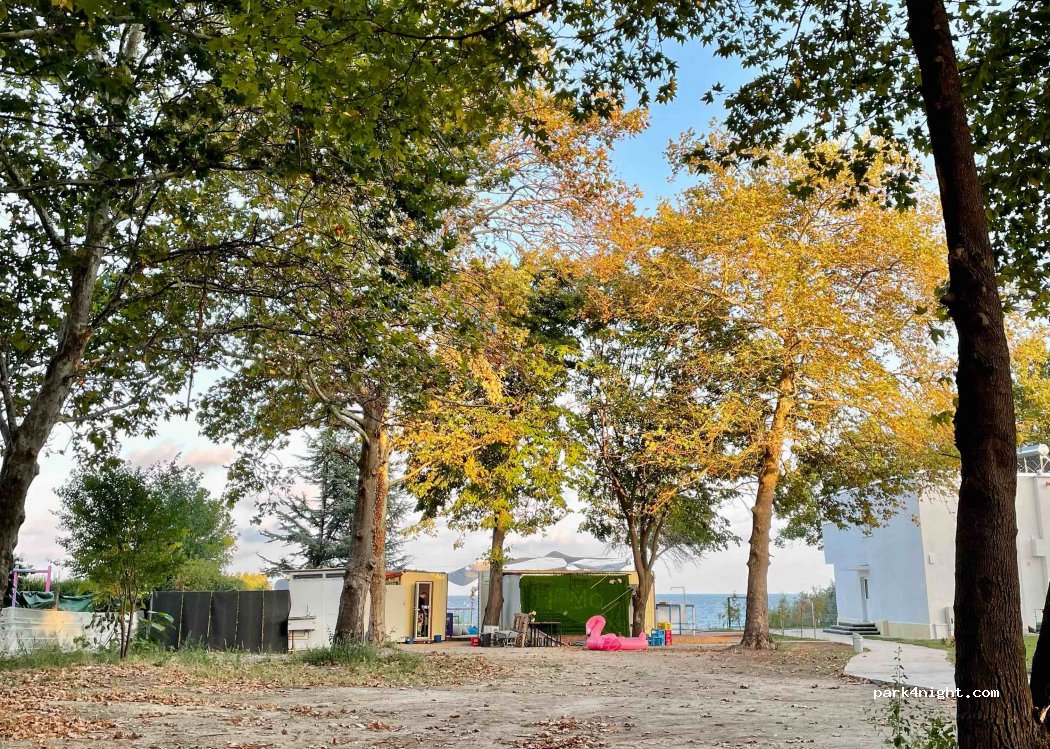 NOMAD CAMP — foto