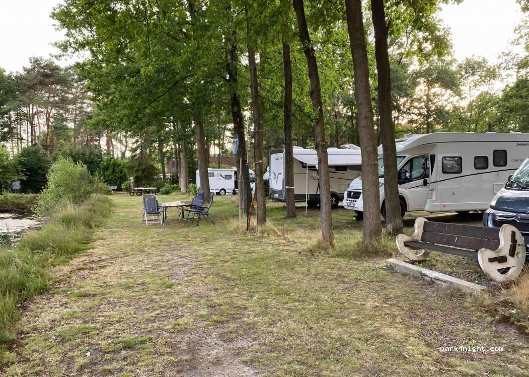 Het Swinnenbos — foto