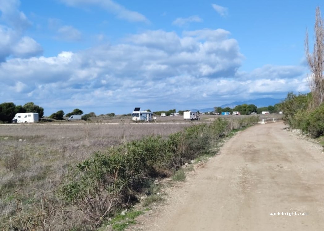 Παράκτιο Δάσος Αγιαννάκη Ελαίας — foto 3