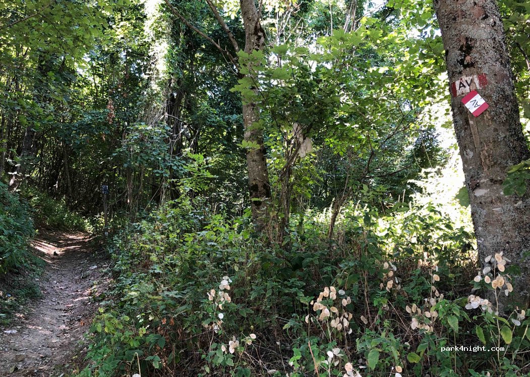 (16040) Torriglia - Strada Provinciale 21 — foto 2
