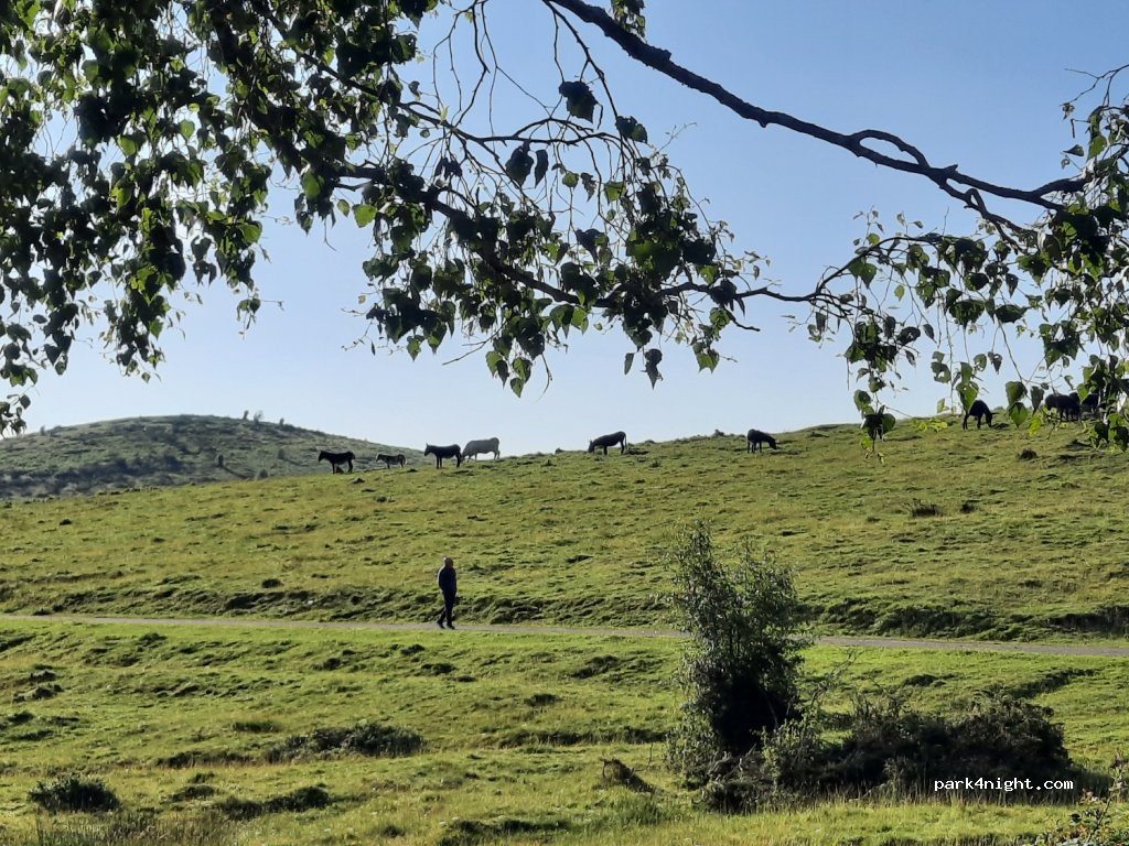 (65710) Campan - Unnamed Road — foto 2