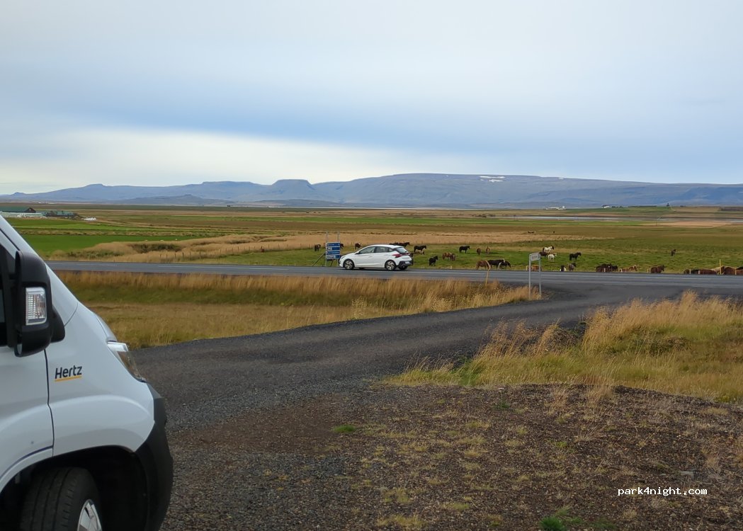 (541) Gilja - Þjóðvegur — foto 4