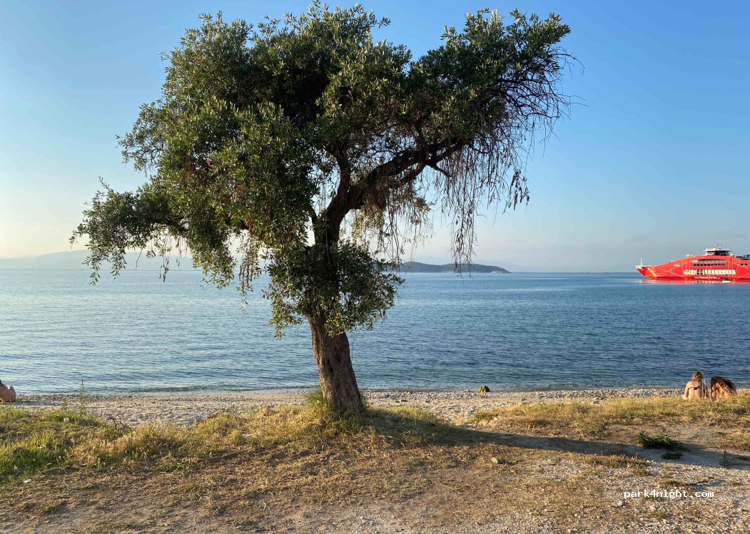 (640 04) Limenas - 56 Dimitriadou — foto
