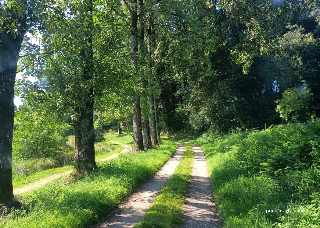 (22320) Le Haut-Corlay - — foto 4