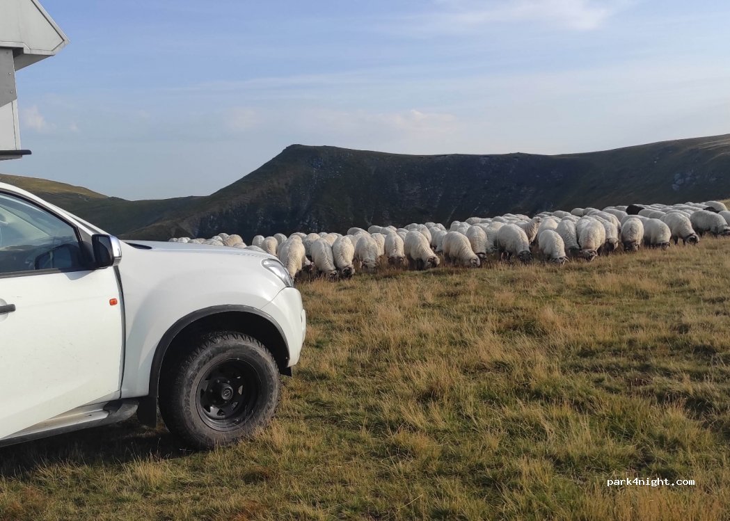 () Obârşia Lotrului - Transalpina 67C — foto 2