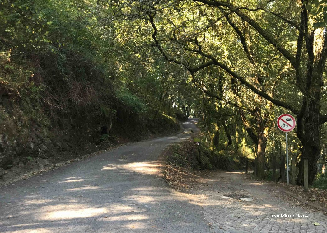 (4980-020) R. do Rio - Ecovia — foto 2