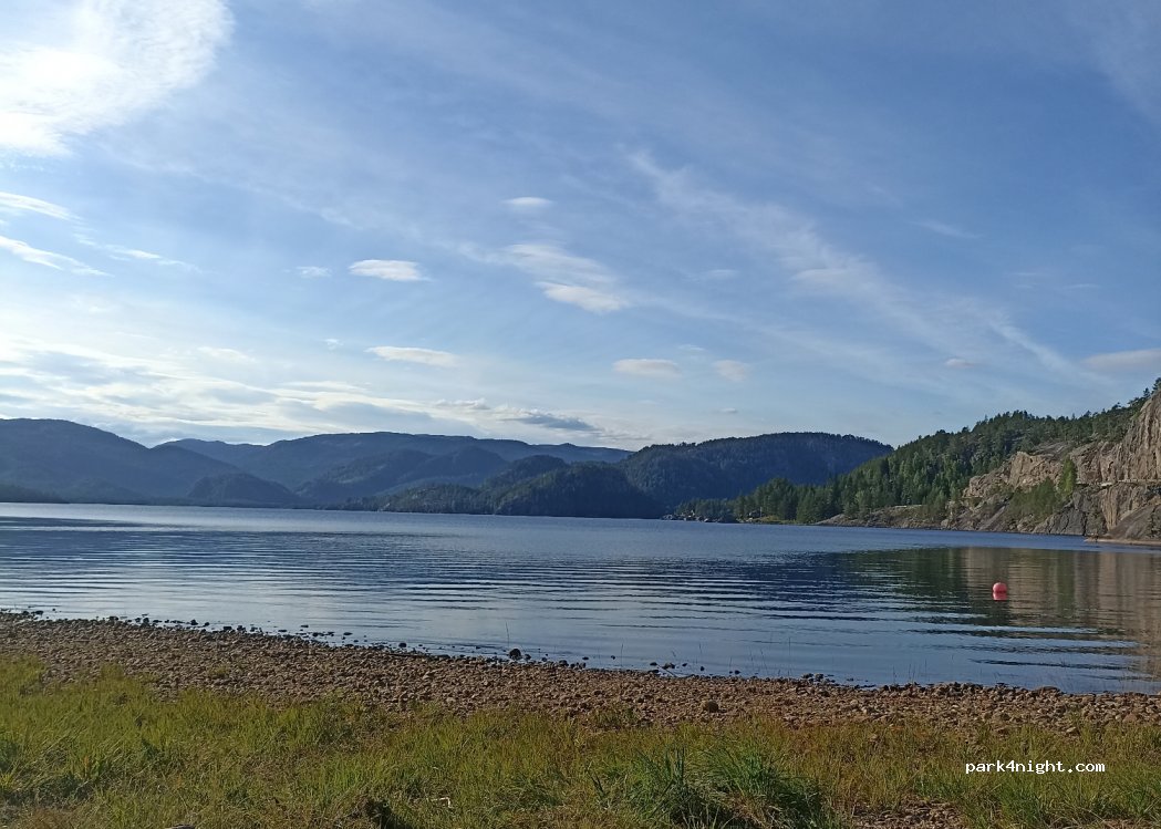 (3855) Treungen - 1 Primær Fylkesveg 355 — foto