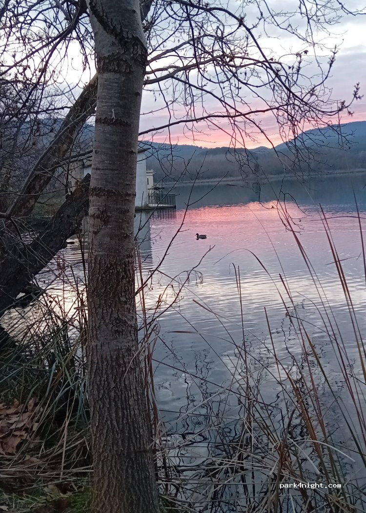 (17820) Banyoles - 19 Passeig de la Draga — foto 5
