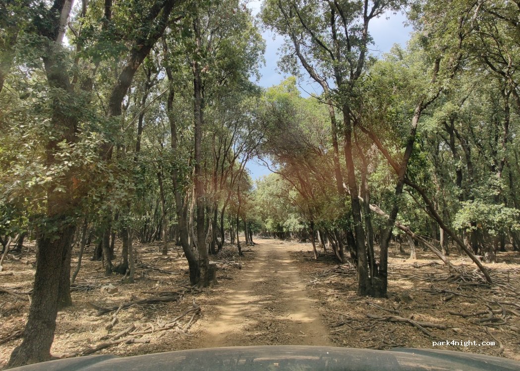 (51554) Punta Križa - Unnamed Road — foto 2