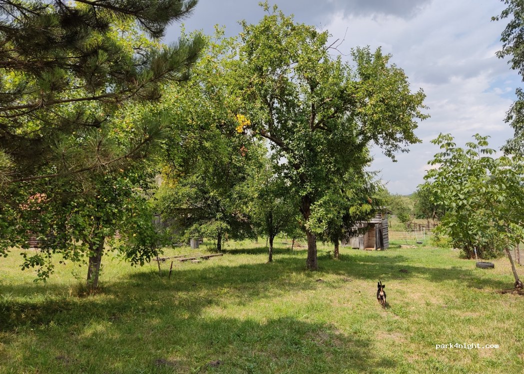 (507111) Dacia - 331, Str. Principala — foto 2