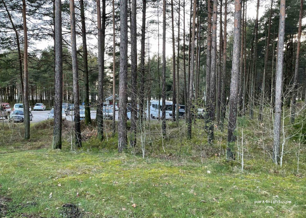 (4580) Lyngdal - 30 Stamsøyveien — foto 4