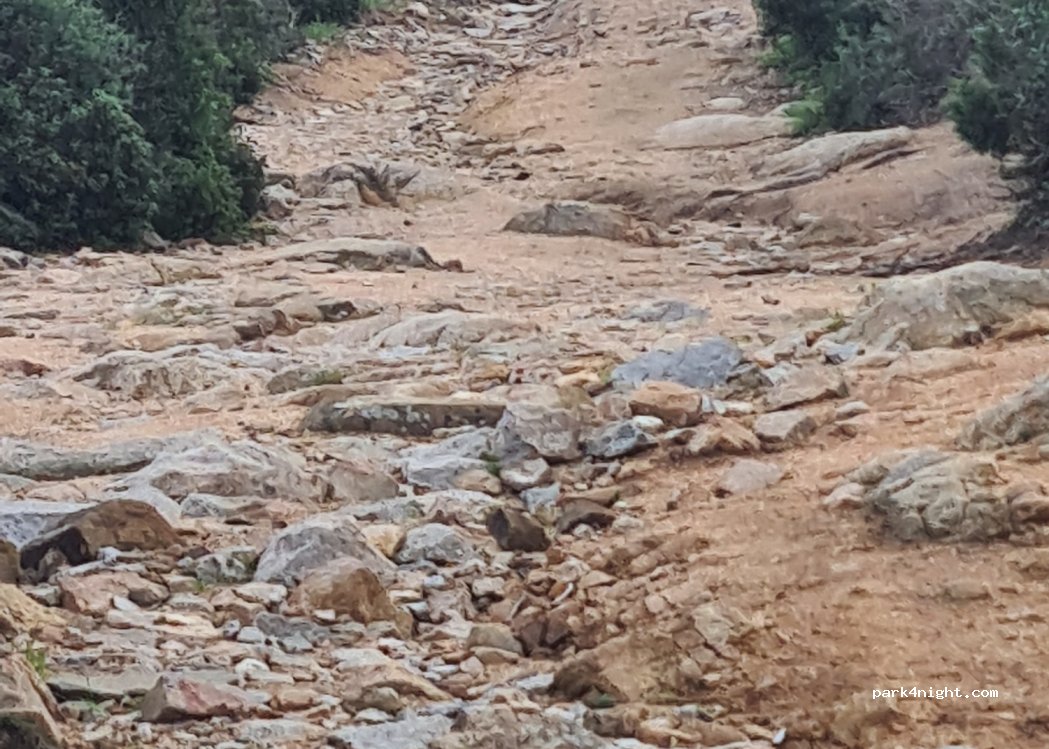 (07028) Santa Teresa di Gallura - — foto 4
