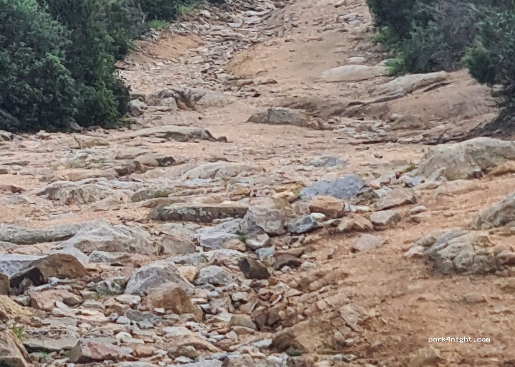(07028) Santa Teresa di Gallura - — foto 5