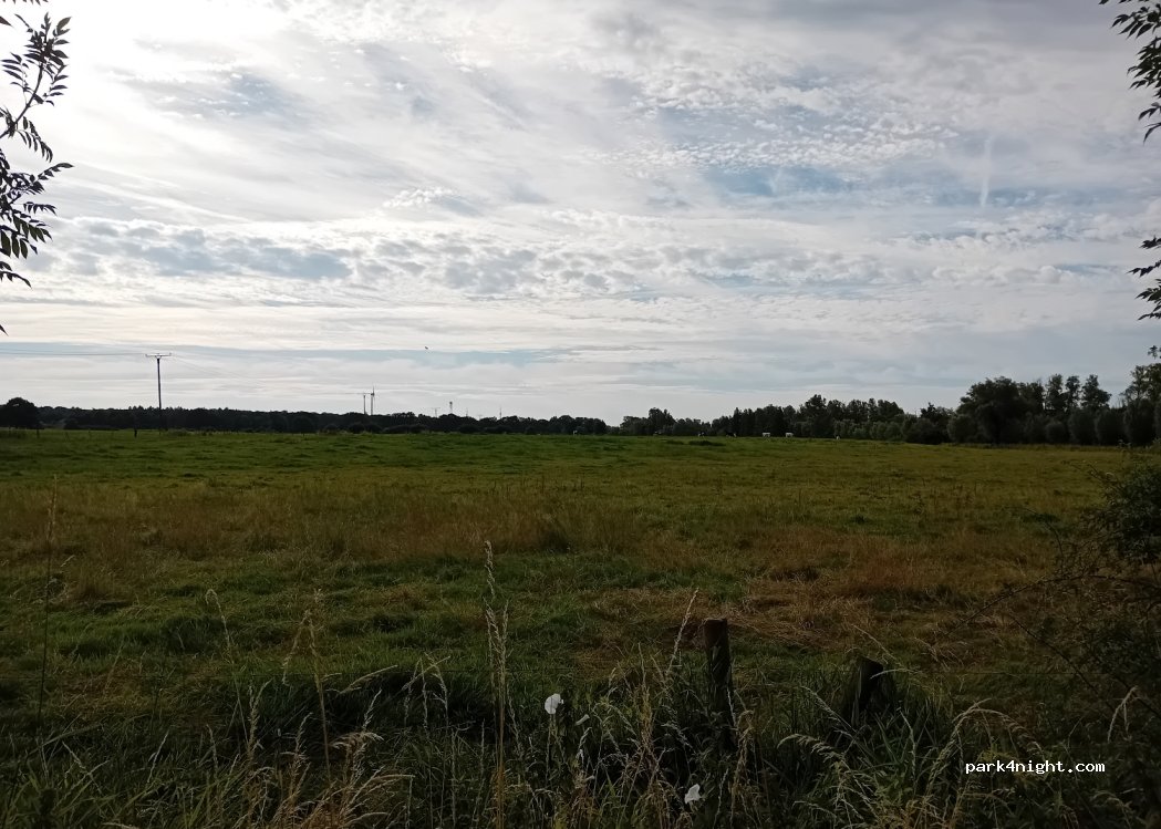 (46459) Rees - Haffener Straße — foto 3