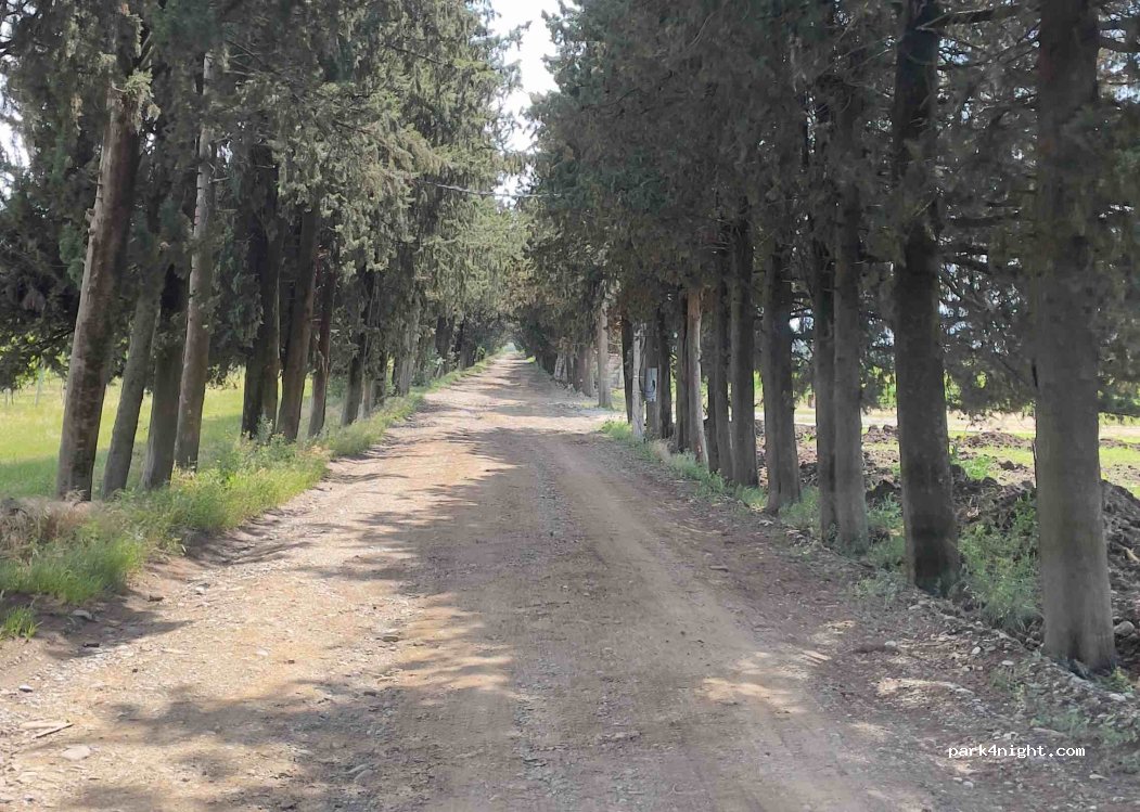 Ibero Winery's camping — foto 3