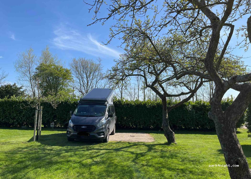 Camping de Boshoek — foto
