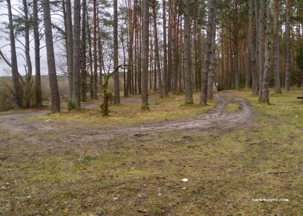 (65492) Salovartė - — foto 4