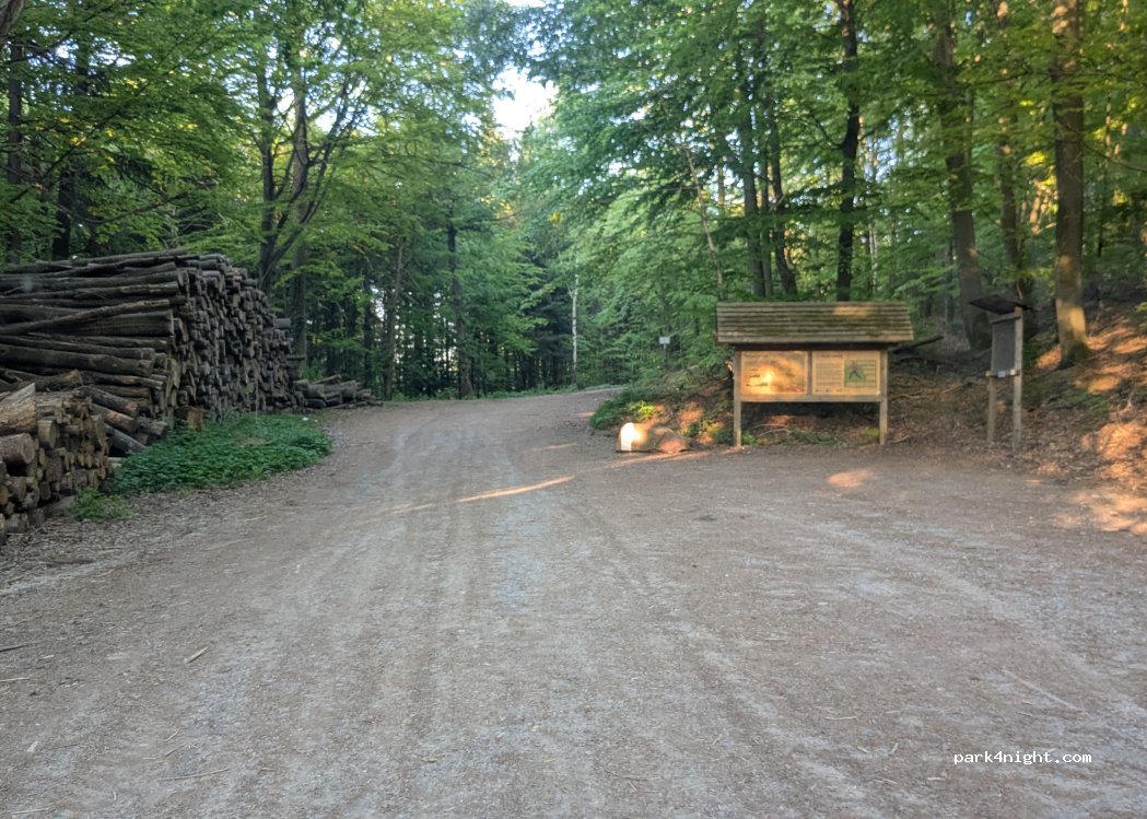 (69253) Schriesheim - Unnamed Road — foto 3