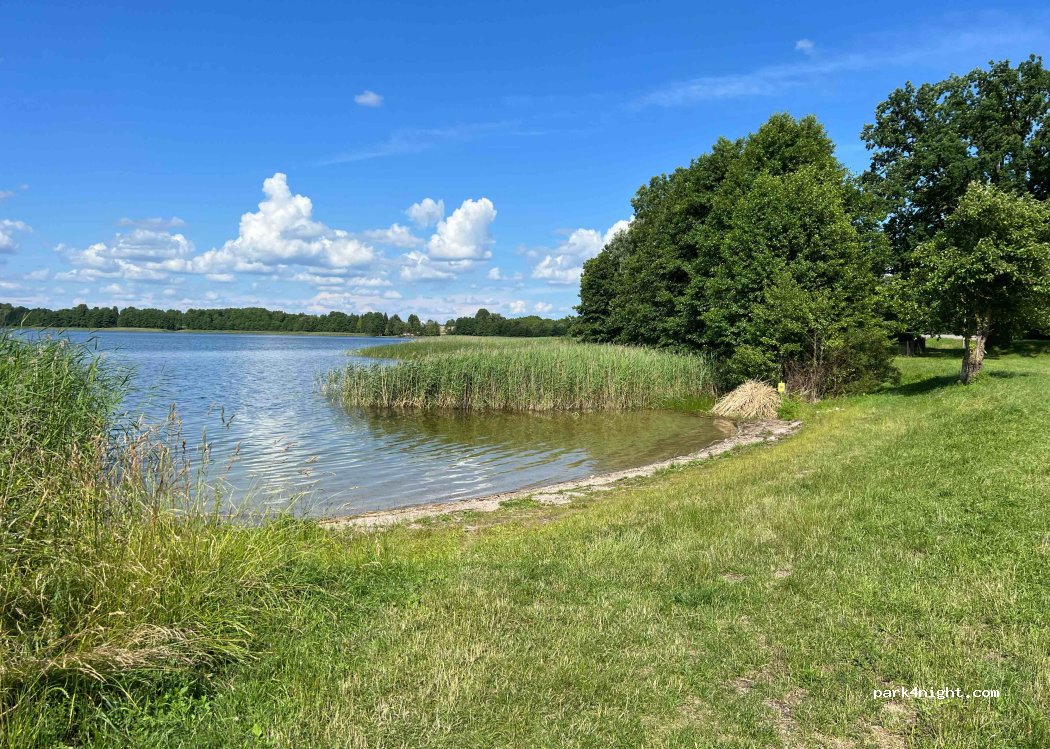 (16-500) Ogrodniki - DK16 — foto 3