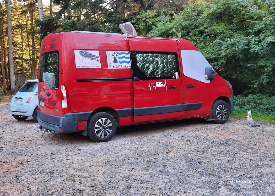 (88580) Saulcy-sur-Meurthe - — foto 3