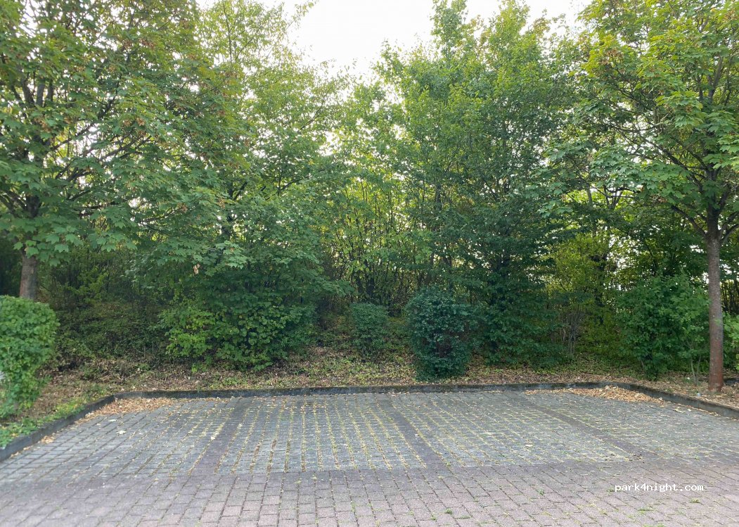 (55218) Ingelheim am Rhein - Unnamed Road — foto 4