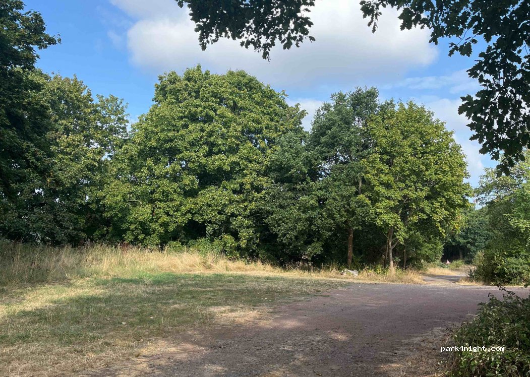 (53498) Waldorf - Unnamed Road — foto 3
